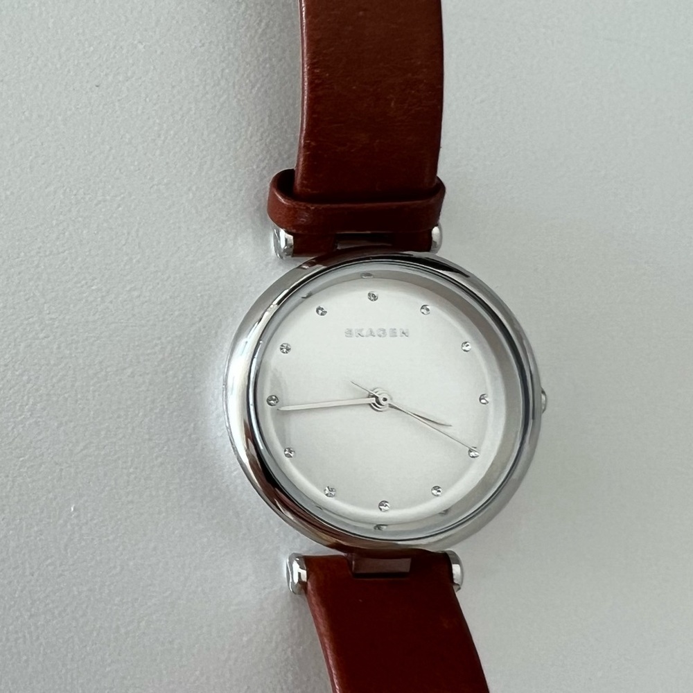 Skagen Tanja Silver Dial Ladies Leather Watch - Picture 7 of 7